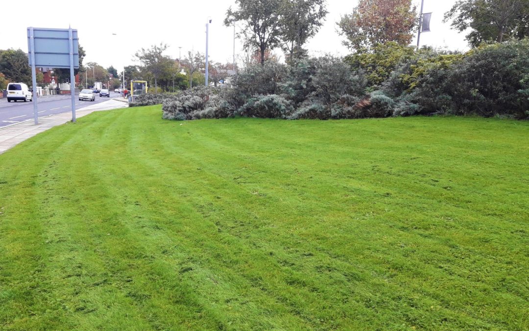 Keeping up at Central 12, Southport